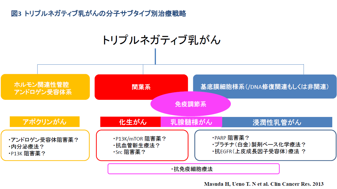 段階別の治療法
