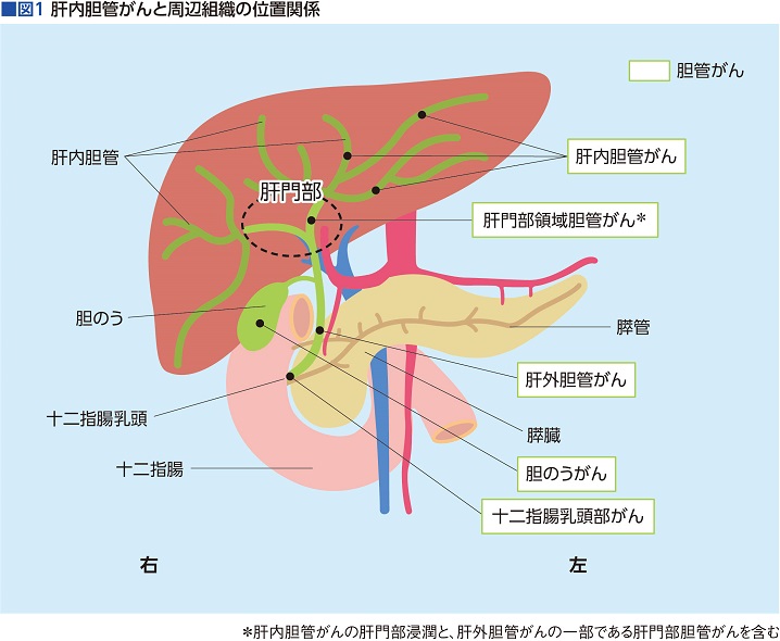 胆管がんの手術はどれくらい効果があるのでしょうか?